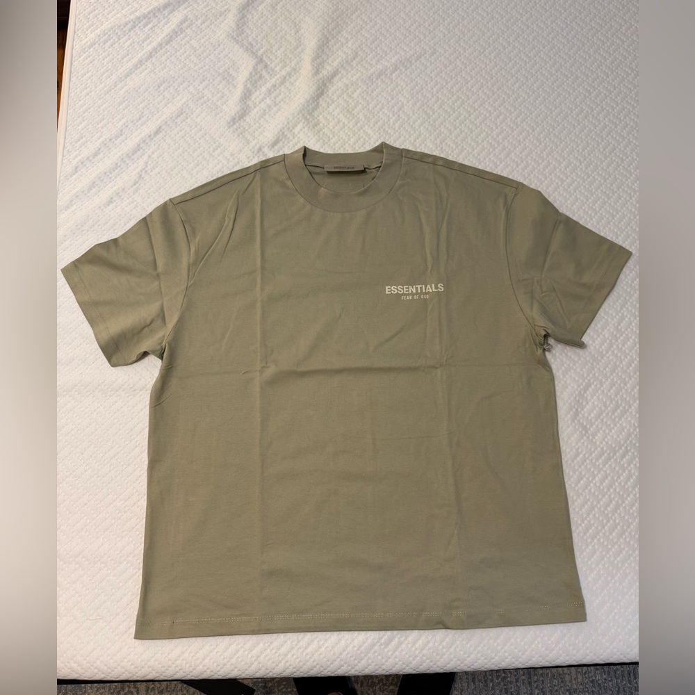 Essentials Men T-Shirt (Sea Foam Green) Large
